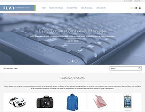 Flat Store